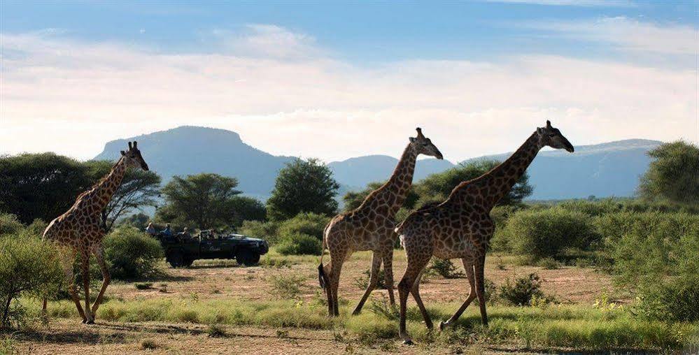 Marataba Safari Co Hotell Marakele National Park Exteriör bild
