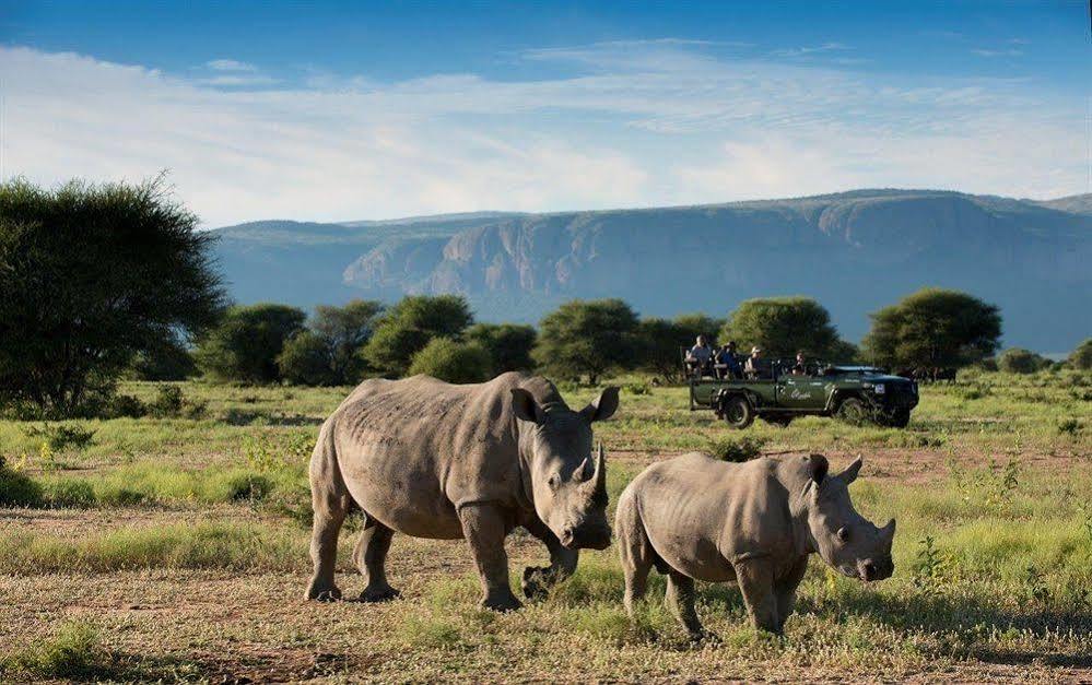 Marataba Safari Co Hotell Marakele National Park Exteriör bild