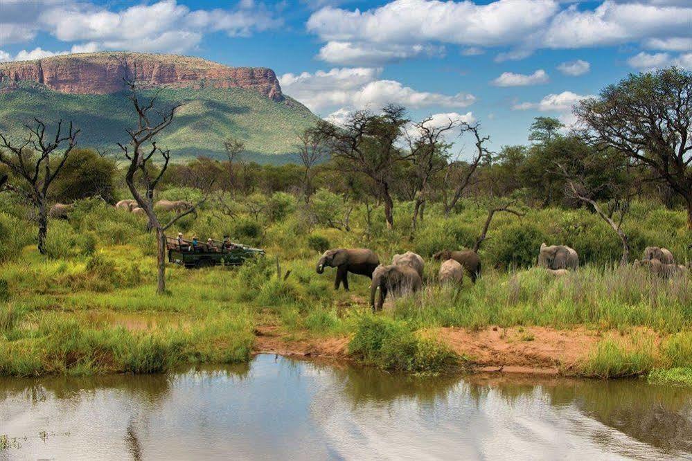 Marataba Safari Co Hotell Marakele National Park Exteriör bild