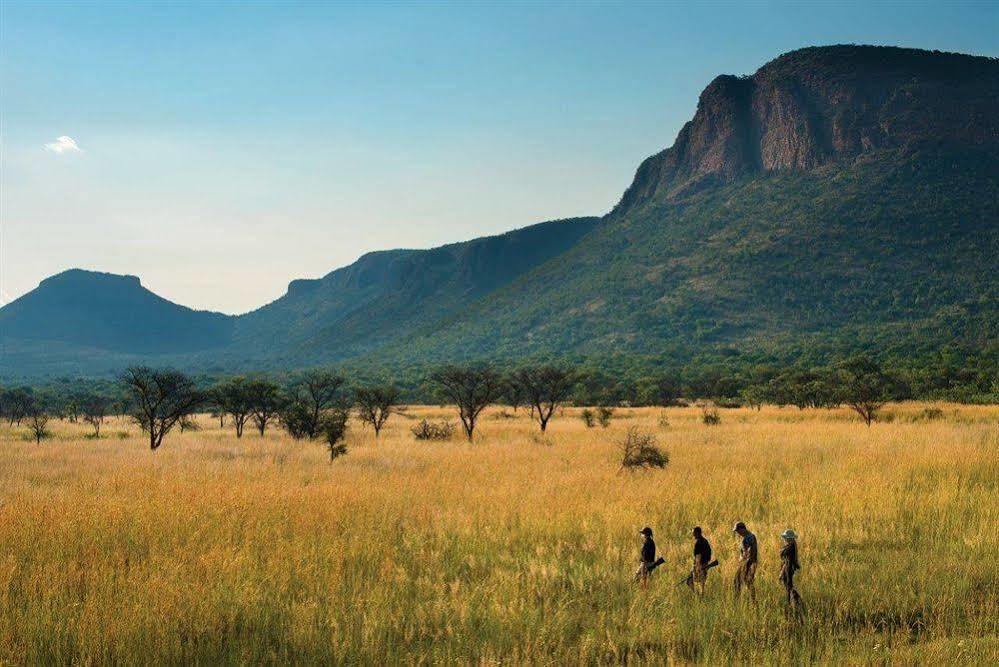 Marataba Safari Co Hotell Marakele National Park Exteriör bild