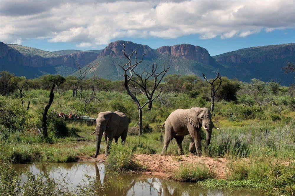 Marataba Safari Co Hotell Marakele National Park Exteriör bild